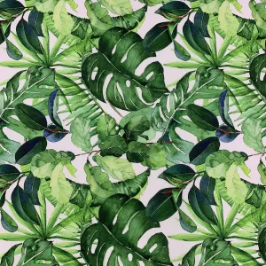 Printed Mini Matt Des. Hothouse