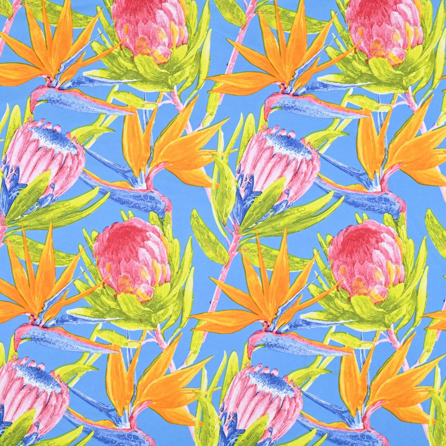 Printed Mini Matt Protea & Strelitzia Blue