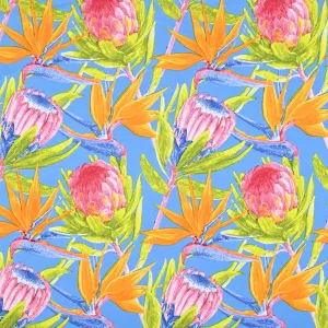 Printed Mini Matt Protea & Strelitzia Blue